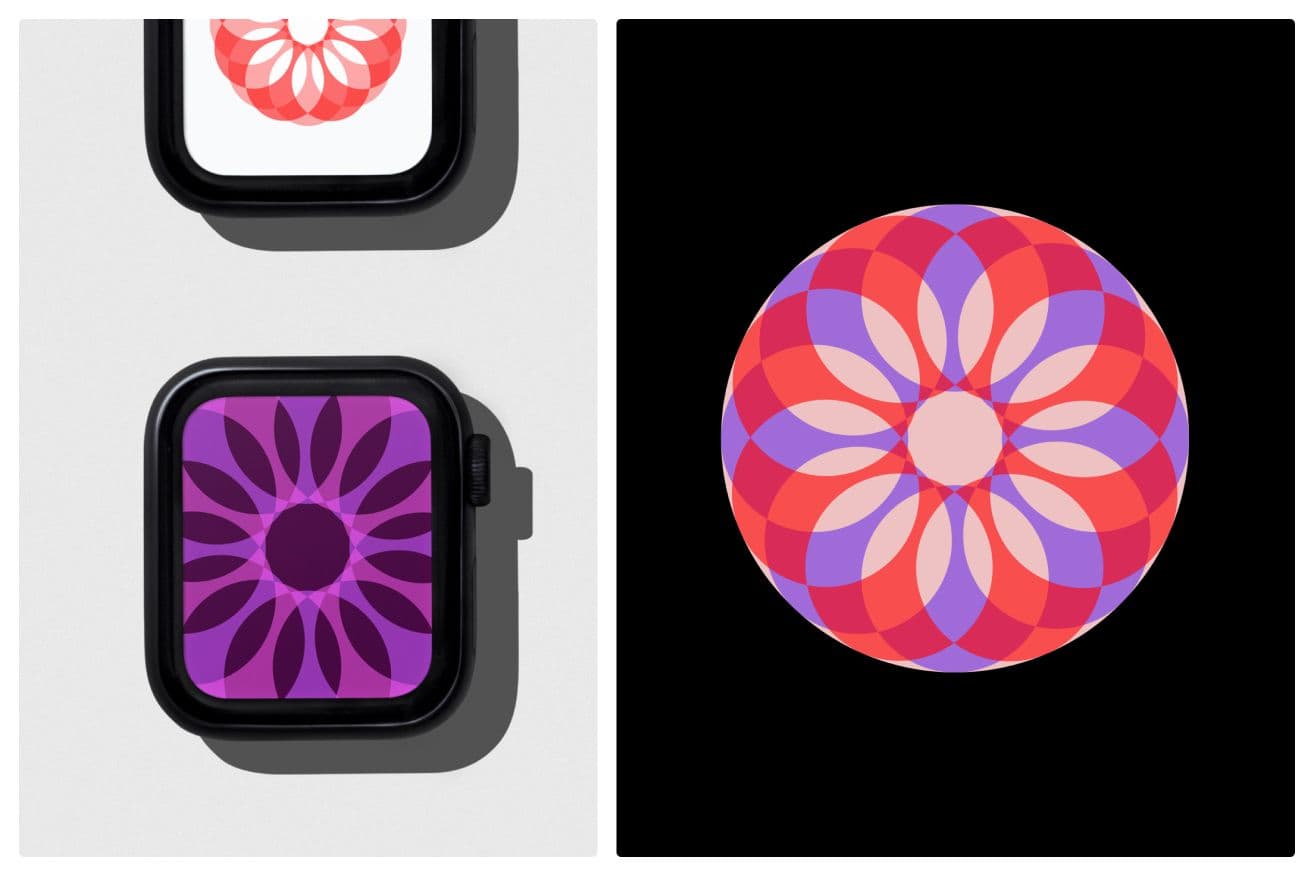 [Click here to download 🔥](https://povmarket.io/product/floral-geometric-shape-variations-4-vector-designs)